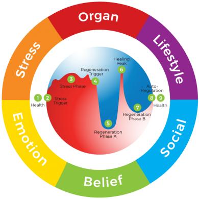 6 Root-Causes of Symptoms